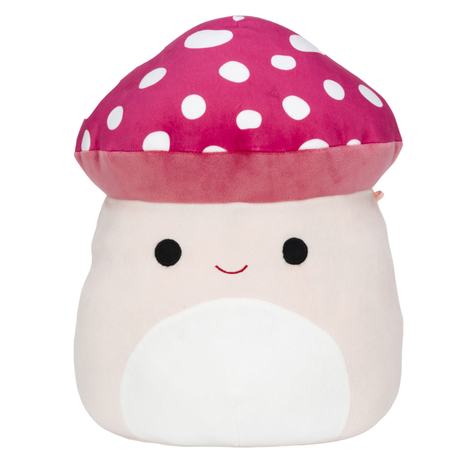 heart cheek frog squishmallow